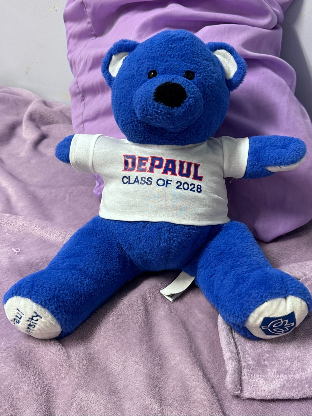 DePaul Class of 2028  Rare Collection White Tee on Blue Plush Bear